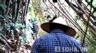 Gần 60 CA băng rừng vào hiện trường vụ thảm sát ở Nghệ An