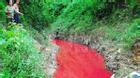 Sự thật bất ngờ về bí mật 'dòng suối máu' ở Điện Biên