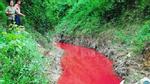 Sự thật bất ngờ về bí mật 'dòng suối máu' ở Điện Biên