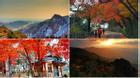 7 địa điểm đẹp nhất vào mùa thu ở Hàn Quốc