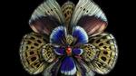 Bộ ảnh cánh bướm xếp tầng lột tả vẻ đẹp không tưởng của thế giới tự nhiên