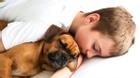 Ngủ với thú cưng giúp bạn khỏe mạnh hơn