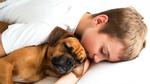 Ngủ với thú cưng giúp bạn khỏe mạnh hơn