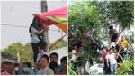 Hàng nghìn người dân đội nắng, leo cây, trèo cột điện xem xử án