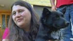 Úc: Chú chó suốt đêm bảo vệ cô chủ 2 tuổi đi lạc