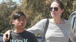 Pax Thiên bị thương chân khi du lịch Thái Lan cùng Angelina Jolie