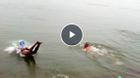 Các “kình ngư” sảng khoái bơi lội trên sông Hồng trong giá rét