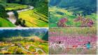 7 thung lũng đẹp như tranh ở Việt Nam nên ghé dịp Tết