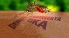 Phụ nữ có thai đầu tiên mắc virus Zika ở châu Âu