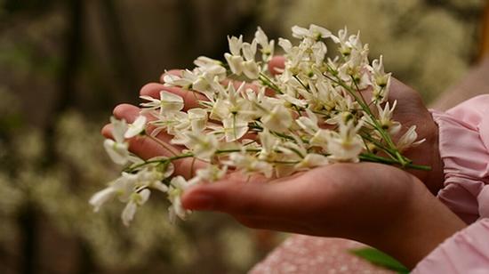 Khi tình yêu đến vào tháng 3