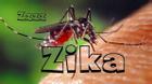 Cách phát hiện và điều trị khi bị nhiễm virus Zika