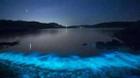 Xôn xao ánh sáng xanh ma quái xuất hiện trên bờ biển Trung Quốc