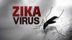 Brazil: Phát hiện virus Zika có thể gây rối loạn não ở người lớn