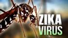 Ngoài ảnh hưởng não, người bệnh có thể bị liệt do virus Zika
