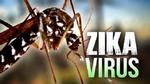 Ngoài ảnh hưởng não, người bệnh có thể bị liệt do virus Zika