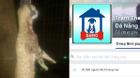 Xôn xao tin tố Trung tâm cứu hộ động vật ở Đà Nẵng bán chó mèo vào lò giết mổ
