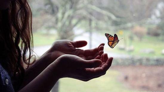 Tự đày đọa bản thân vì vô tình phát hiện nhật ký ngoại tình