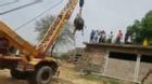 Ấn Độ: Trâu trèo lên mái nhà theo cách khó ngờ