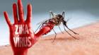 'Virus Zika sẽ lan rộng toàn châu Âu mùa hè này'