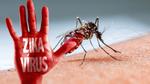 'Virus Zika sẽ lan rộng toàn châu Âu mùa hè này'