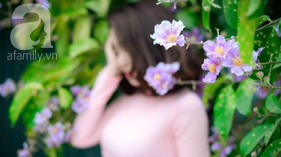 Xao xuyến ngắm Hà Nội phủ đầy sắc tím bằng lăng, rợp trời hoa phượng đỏ