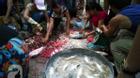 Mưa lớn ngập nặng, người Hà Nội đổ xô đi bán cá bắt được sau đợt lụt