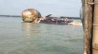 Clip tiếp cận xác cá voi khổng lồ ở bờ biển Nghệ An