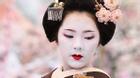 10 sự thật về geisha mà bạn chưa chắc đã biết