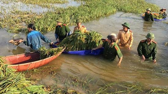CA mặc quân phục giúp dân gặt lúa lại bị nói… làm hình ảnh