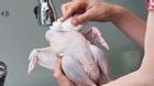 Rửa thịt gà sống làm vi khuẩn gây bệnh lây lan