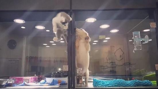 Ngưỡng mộ tình bạn vượt qua 