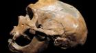 Phát hiện tộc người ăn thịt lẫn nhau 40.000 năm trước