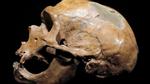 Phát hiện tộc người ăn thịt lẫn nhau 40.000 năm trước