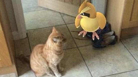 Khi Pokémon Go lạc vào thế giới động vật