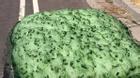 Mỹ: Hoang mang với bọt xanh bí ẩn đùn trên đường phố