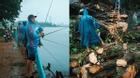 Gió giật cấp 8 quét qua Hà Nội, người dân tranh thủ câu cá, nhặt gỗ từ cây bị đổ