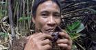 'Tazan Việt Nam' thích sống hoang dã trên nương rẫy