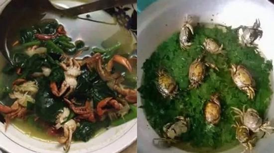 Sau nàng dâu vụng nấu canh cua để nguyên con, lại đến cô người yêu nấu chảy cả nồi cơm điện