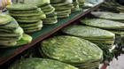 Xương rồng: Siêu thực phẩm mới, đặc sản của người dân Quảng Nam