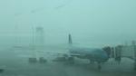 Vietnam Airlines ngừng khai thác 10 chuyến bay do ảnh hưởng của bão số 3