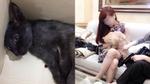 Hà Nội: Cô gái bị tố bỏ đói chú mèo liệt 1 tháng, thản nhiên nói 