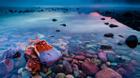 Hồ nước kỳ lạ chứa những viên sỏi đá màu sắc đẹp như tranh vẽ