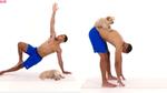 Thích thú ngắm mỹ nam tập yoga cùng chó cưng