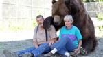 Đôi vợ chồng chung sống với gấu khổng lồ hơn 600kg dưới một mái nhà hàng chục năm qua