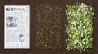 Gieo giấy báo mọc thành cây xanh - người Nhật đã biến điều hoang đường thành sự thật