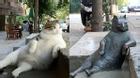Chú mèo nổi tiếng Thổ Nhĩ Kỳ được tạc tượng tại chỗ ngồi ưa thích sau khi qua đời