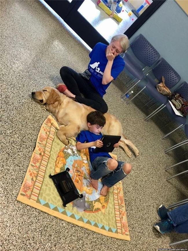 Kainoa Niehaus, 5 tuổi và mắc chứng tự kỉ. Cậu bé không cho bất cứ ai chạm vào người kể cả cha, mẹ. Người mẹ trẻ bật khóc vì xúc động khi thấy con trai nằm chơi trong lòng một chú chó tại trung tâm chuyên dùng vật nuôi để giúp đỡ người cô đơn ở Ohio.