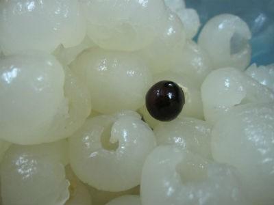 Cach nau che hat sen tuoi ngon cho ngay Tet them vi 5