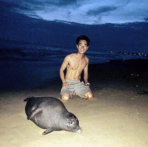 Hải cẩu bị đánh chết và nỗi oan của người dân Phan Rí Cửa - Ảnh 5.