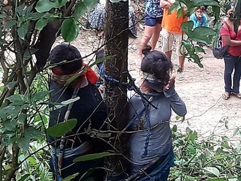 Bị nghi đánh cắp xe ô tô, người phụ nữ bị trói vào cây có đầy kiến độc, bị kiến cắn chết